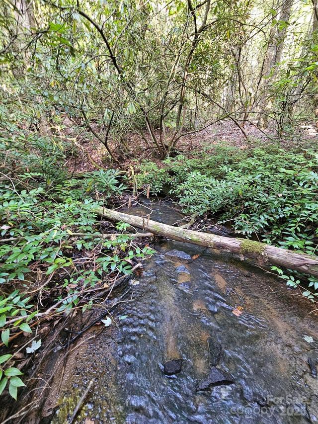 0000 Happy Acres Rd., Brevard, NC 28712