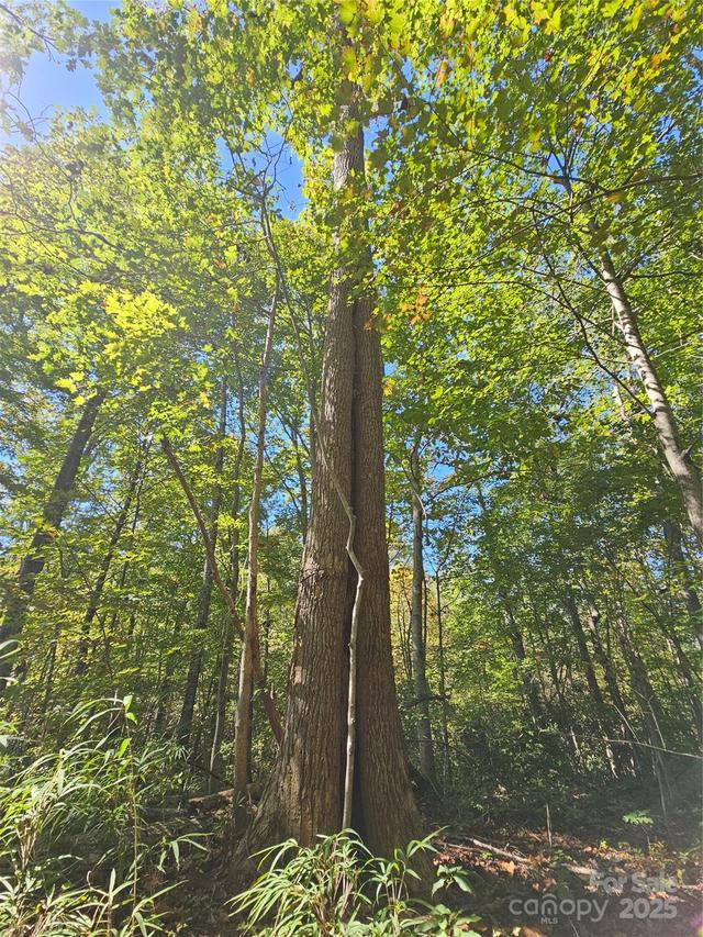 TBD Lackey Town Rd., Old Fort, NC 28762