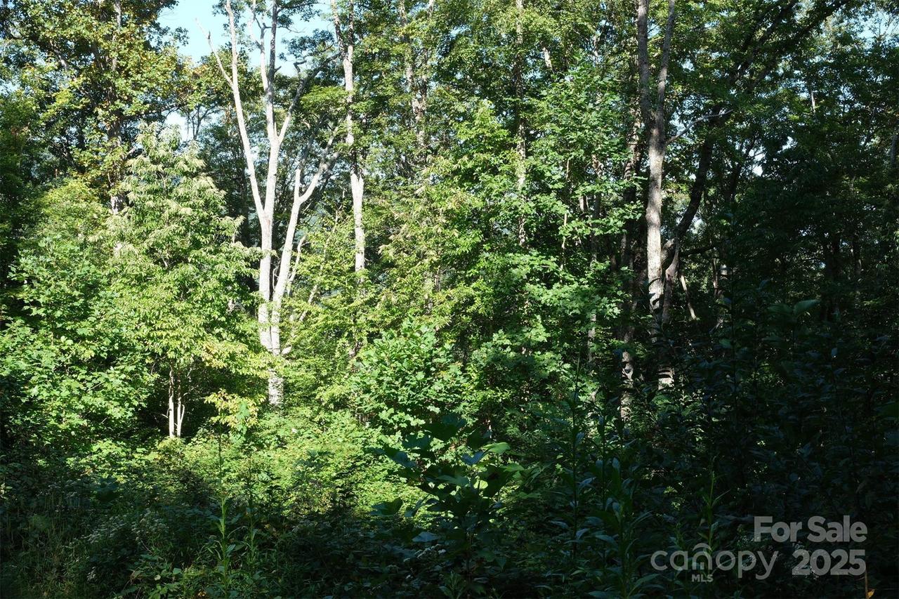 Lot: 12 Caperton Point Rd. #12, Swannanoa, NC 28778