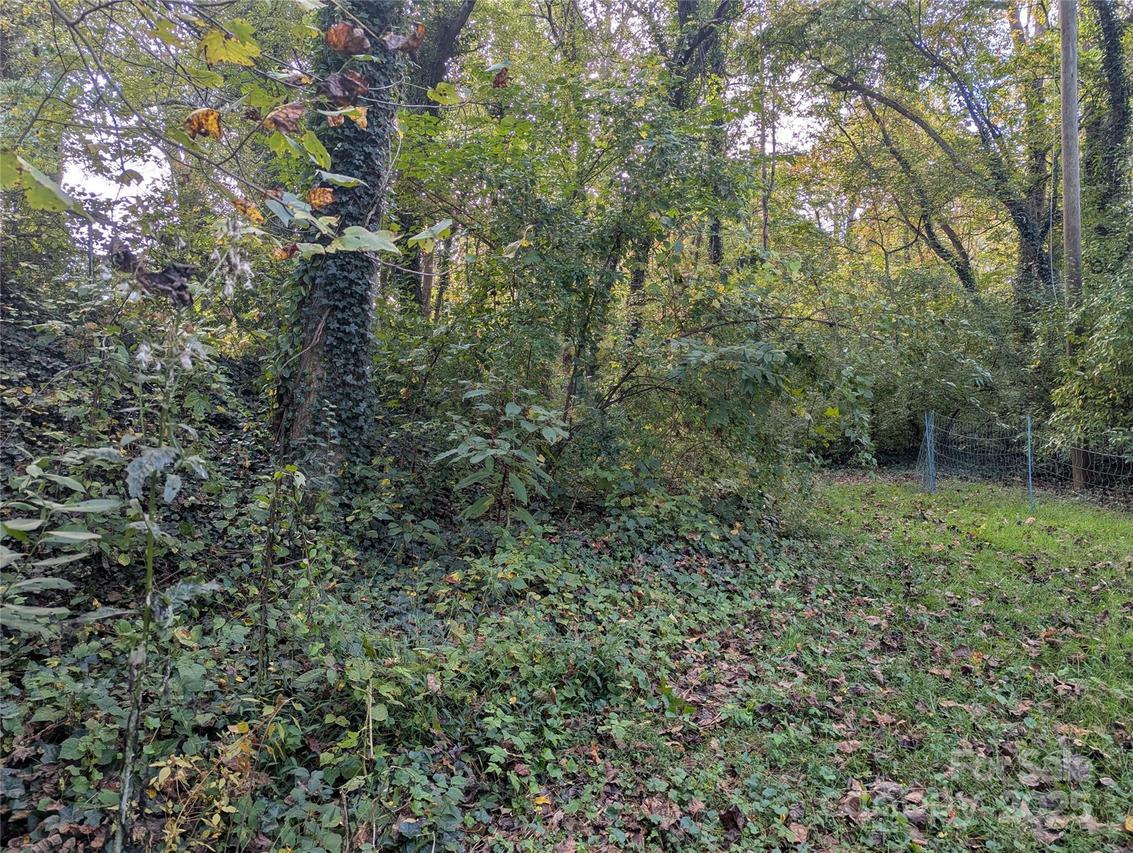 99999 Taft Ave., Asheville, NC 28803