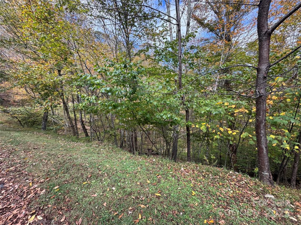 92 Goldenleaf Dr., Mars Hill, NC 28754