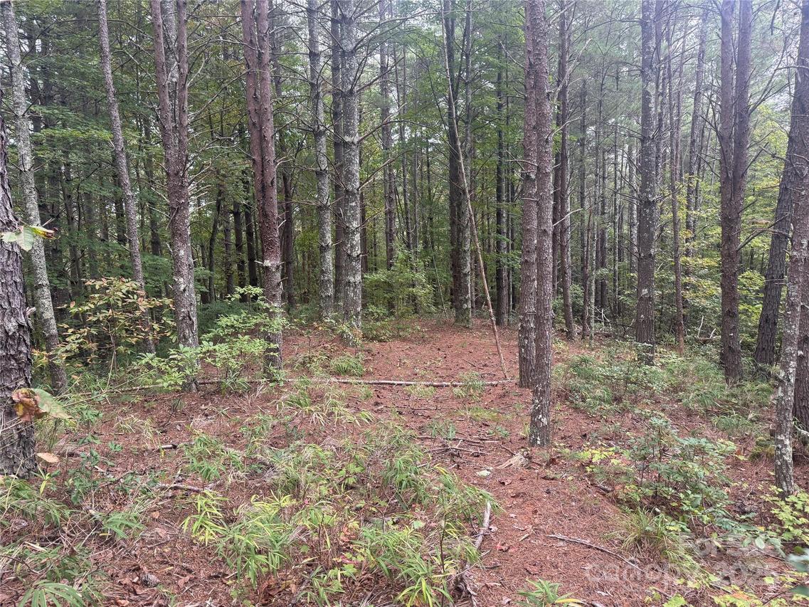 9587 Shortoff View Ter. #57, Nebo, NC 28761