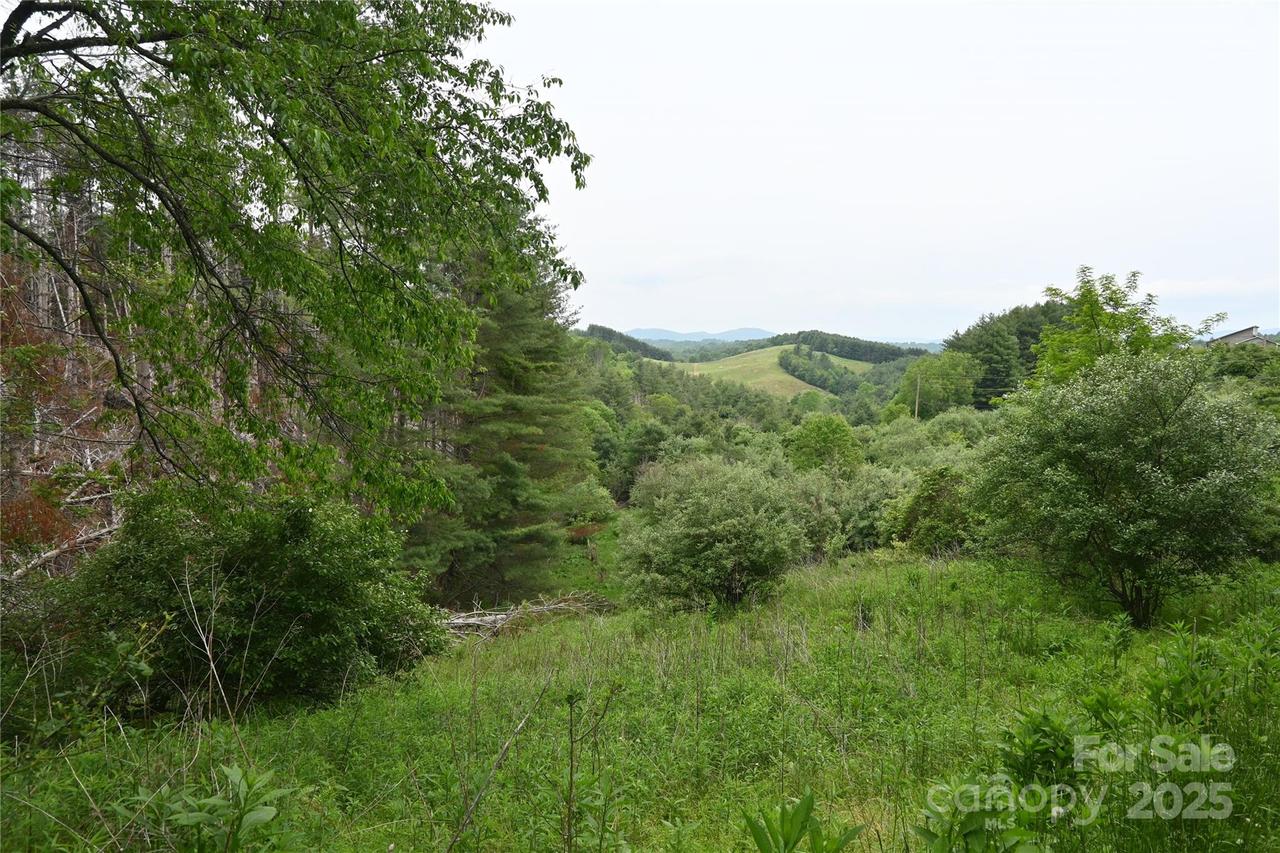 102 Tielcroft Rd., Crumpler, NC 28617
