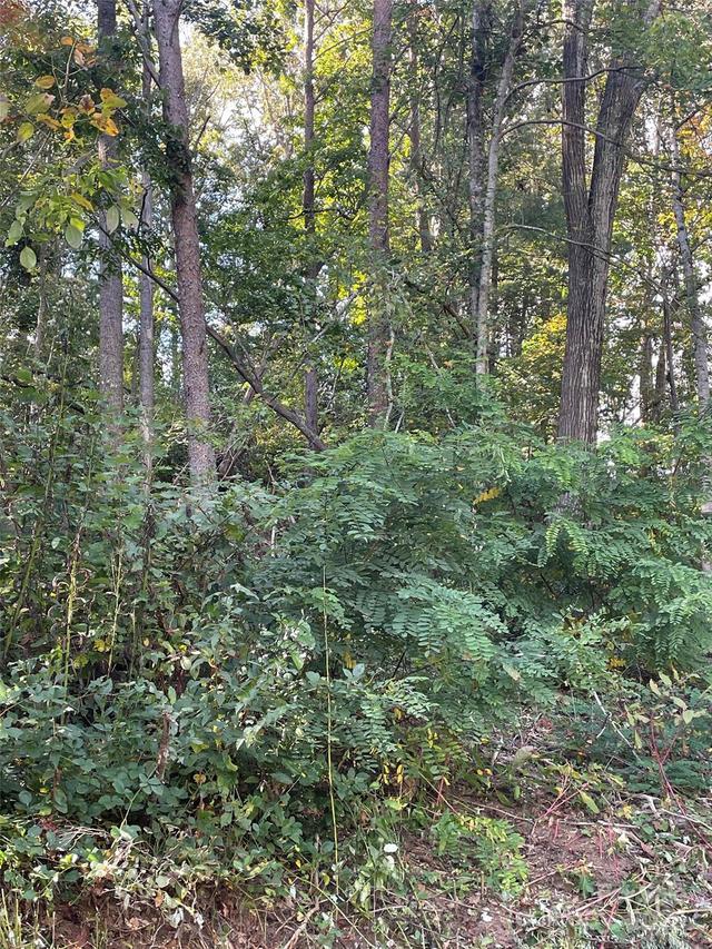 99999 Shelby Dr., Asheville, NC 28803
