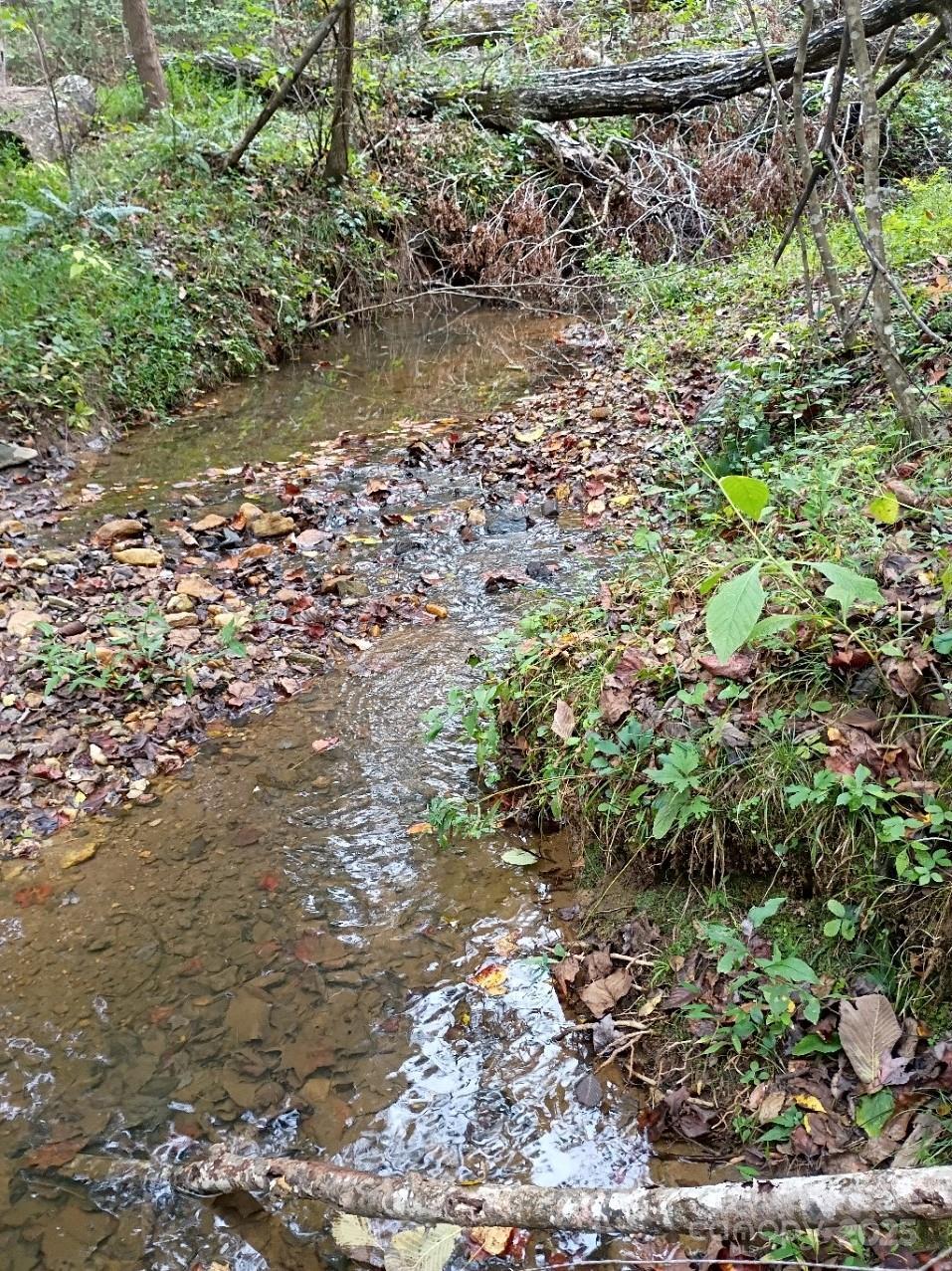 3024 Camp Creek Rd., Union Mills, NC 28167