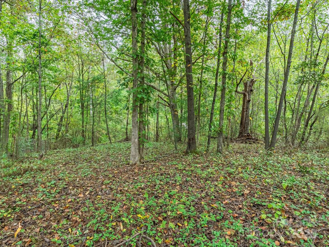 99999 Hummingbird Ln., Asheville, NC 28806