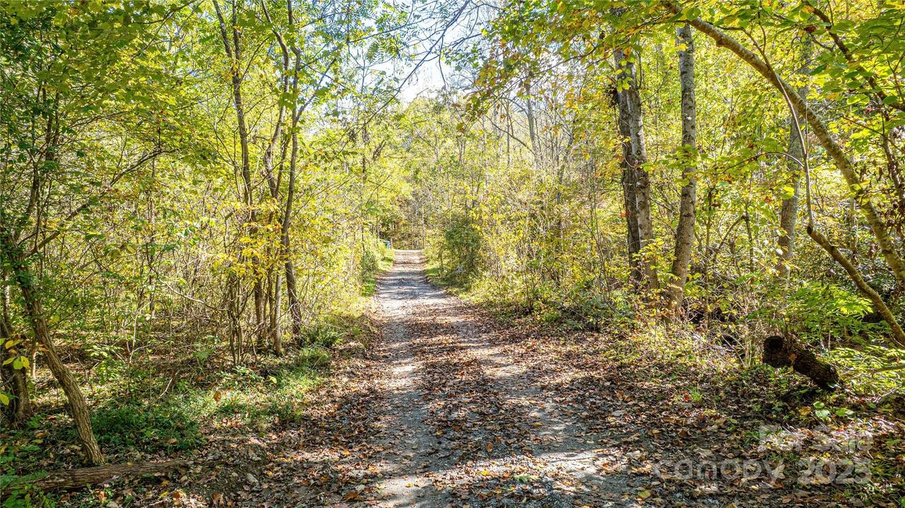 10 Dodd Rd., Barnardsville, NC 28709