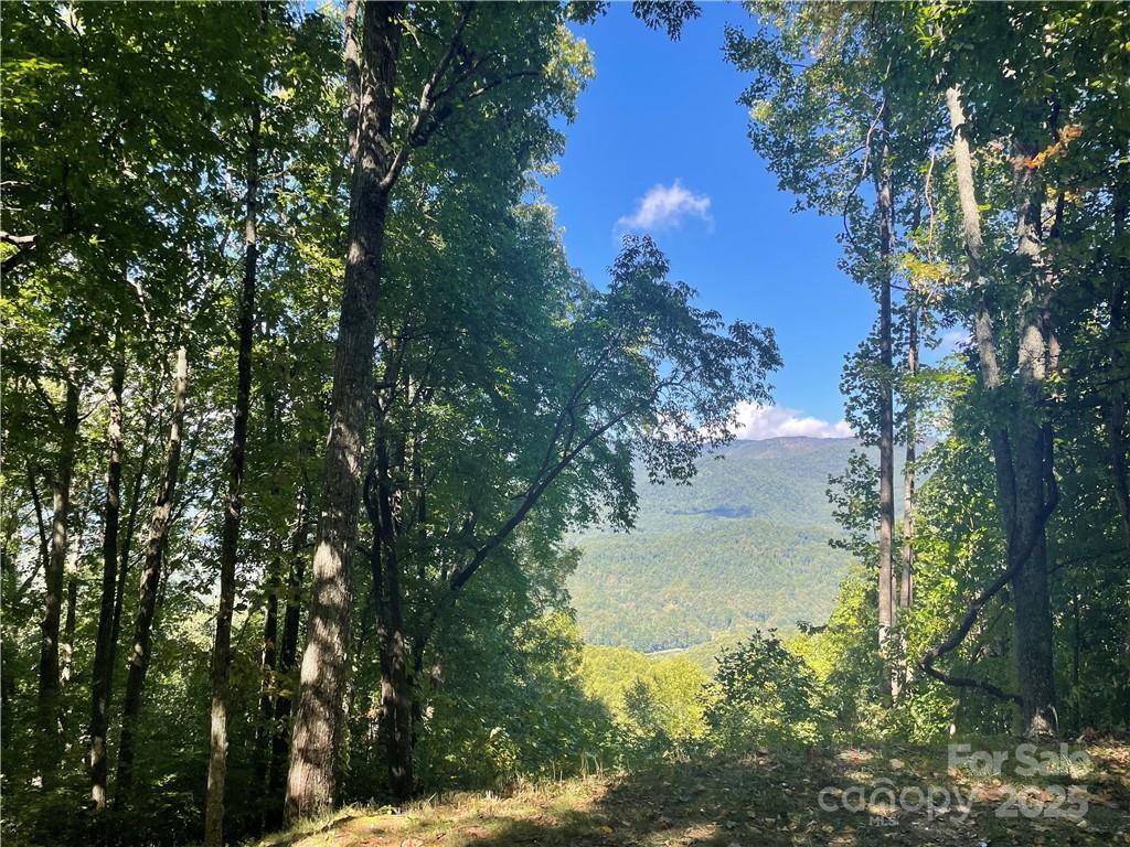 768 Boar Ridge Rd. #121, Sylva, NC 28713