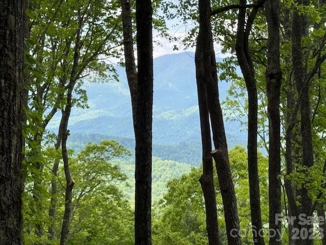 768 Boar Ridge Rd. #121, Sylva, NC 28713