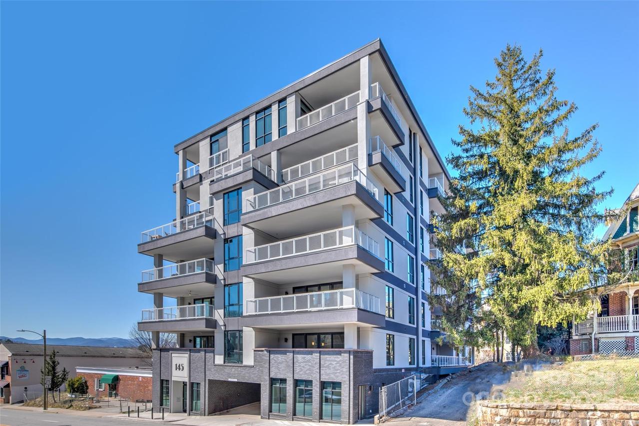 145 Biltmore Ave. #205, Asheville, NC 28801