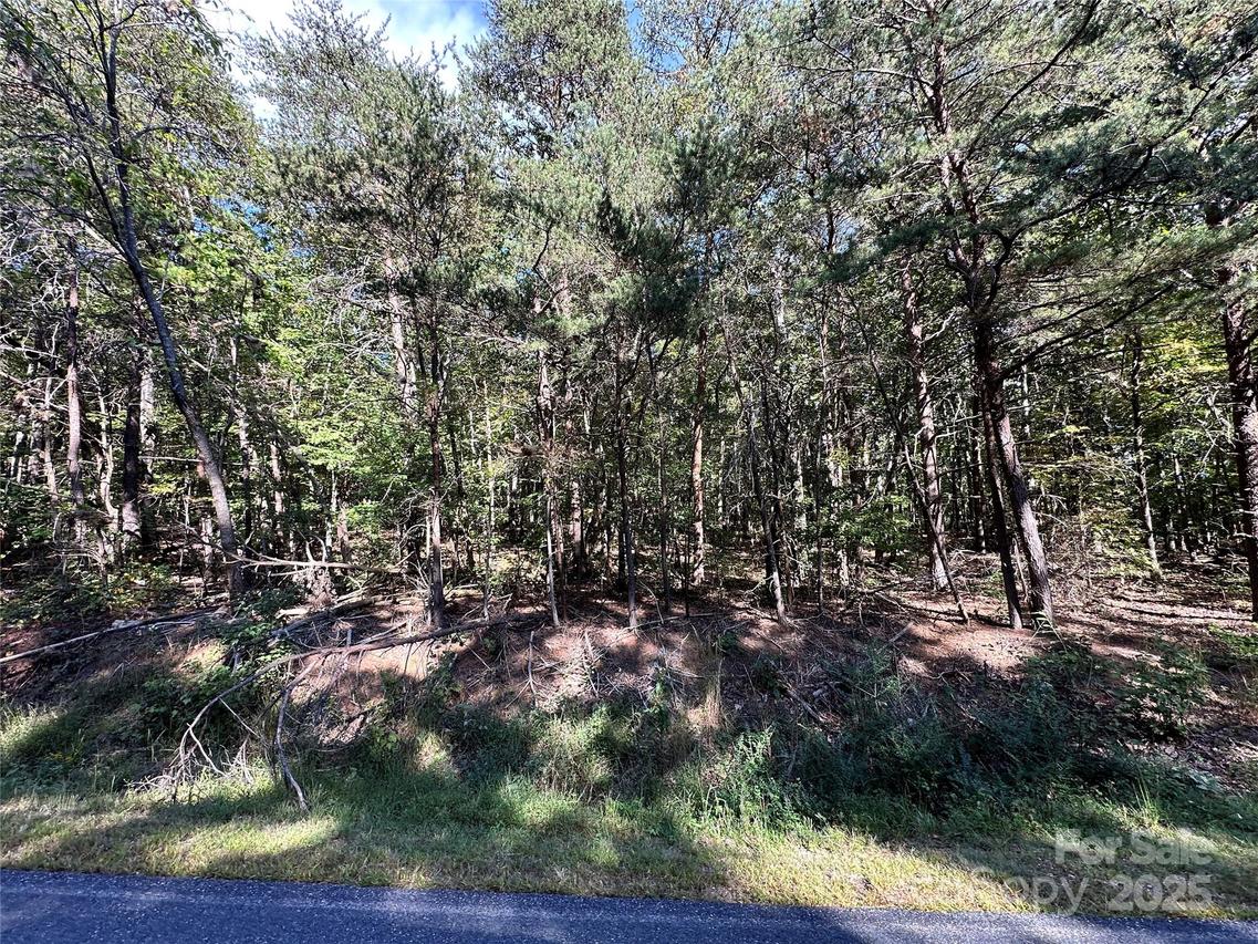 5+ Acres Myers Mill Rd. #3, Statesville, NC 28625