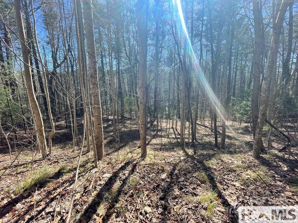1 Bear Log Rd., Cashiers, NC 28717