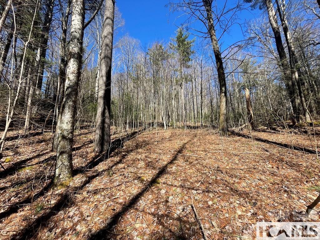1 Bear Log Rd., Cashiers, NC 28717