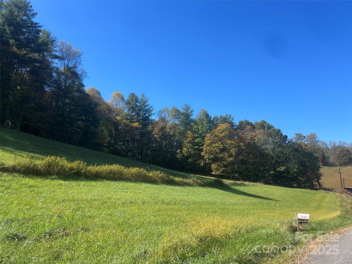 00 Ernest Hughes Rd., Green Mountain, NC 28740
