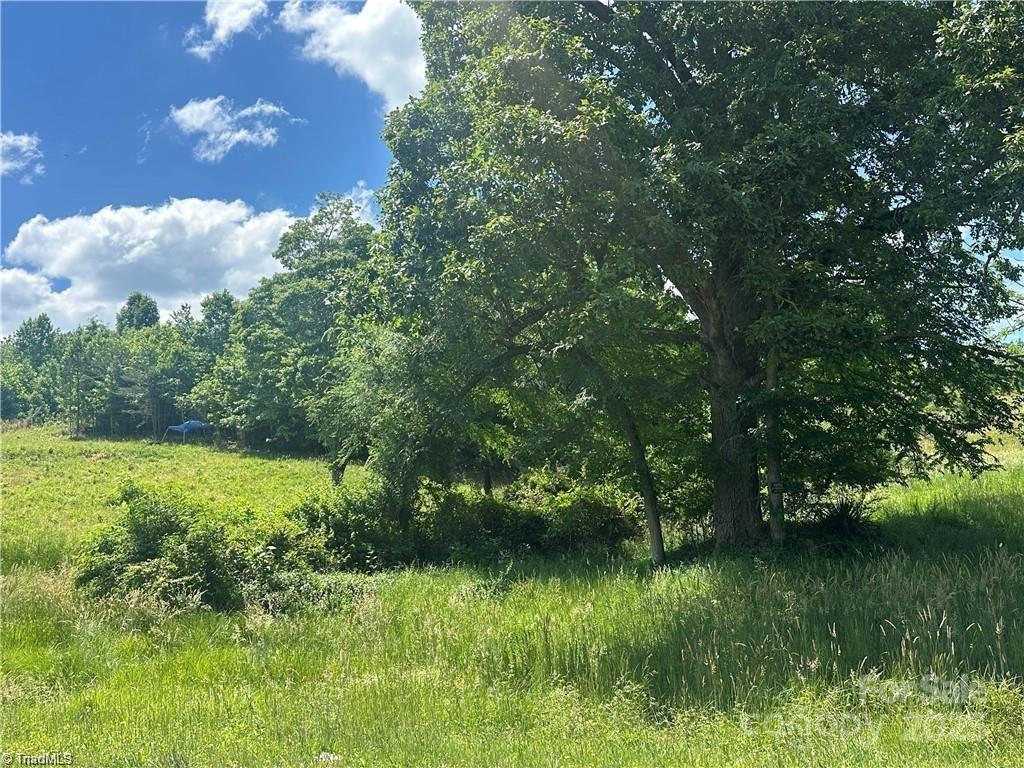 [Address Hidden by Seller], Franklinville, NC 27248