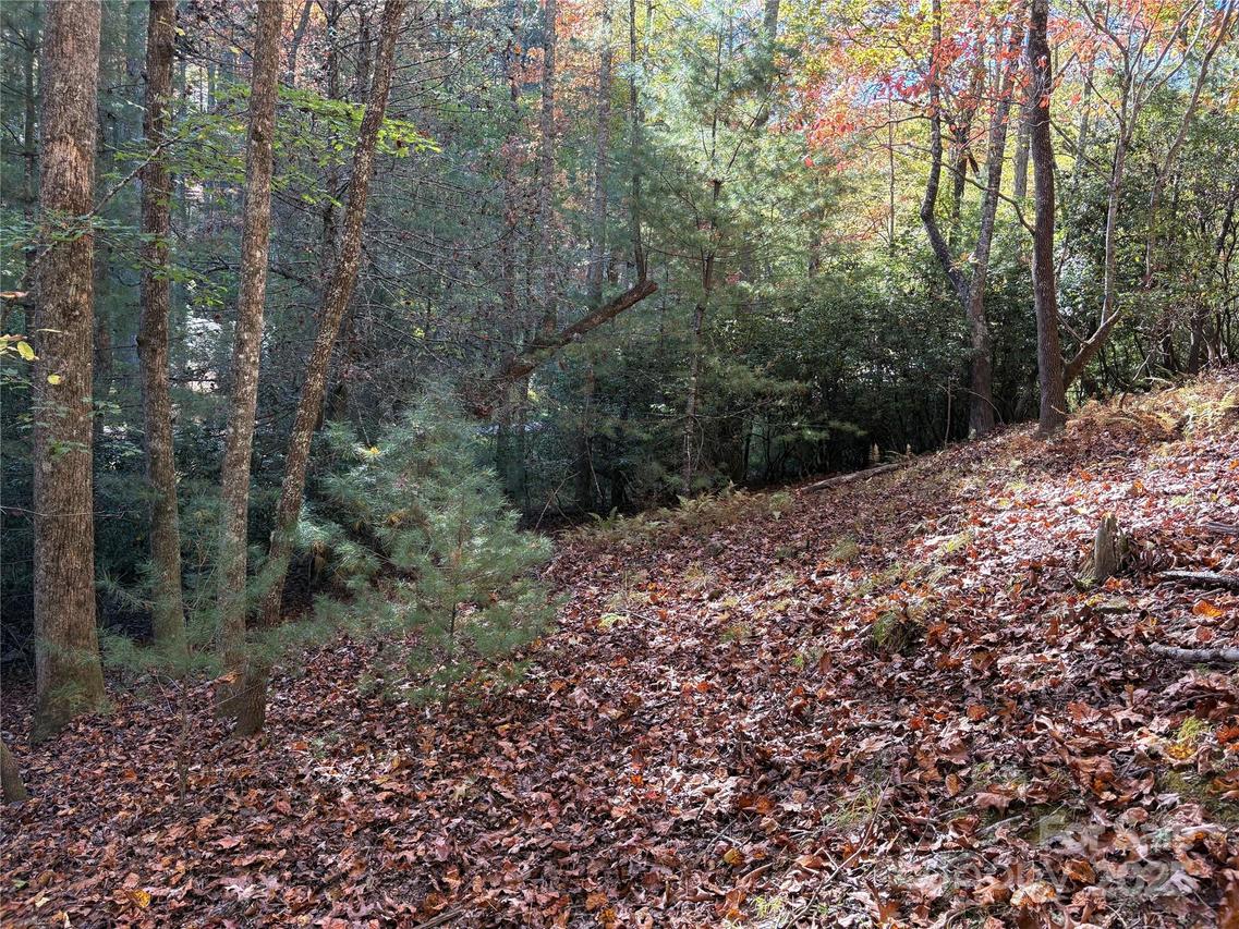 00 Caddis Ln. #94, Horse Shoe, NC 28742