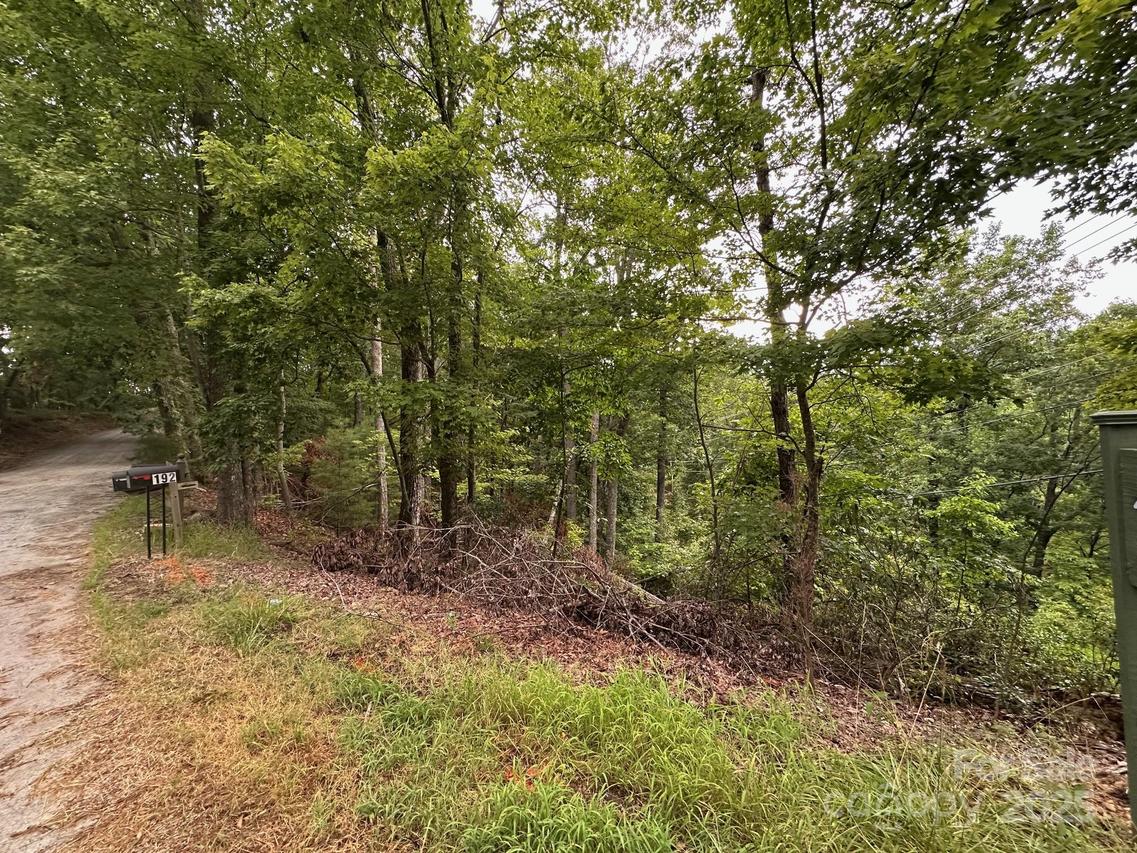 Buzzards Pl. #186, Lake Lure, NC 28746