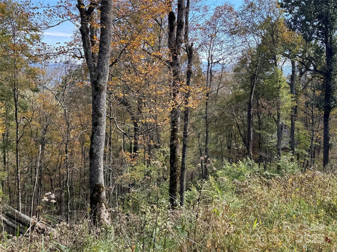 27 Trillium Ln., Mars Hill, NC 28754