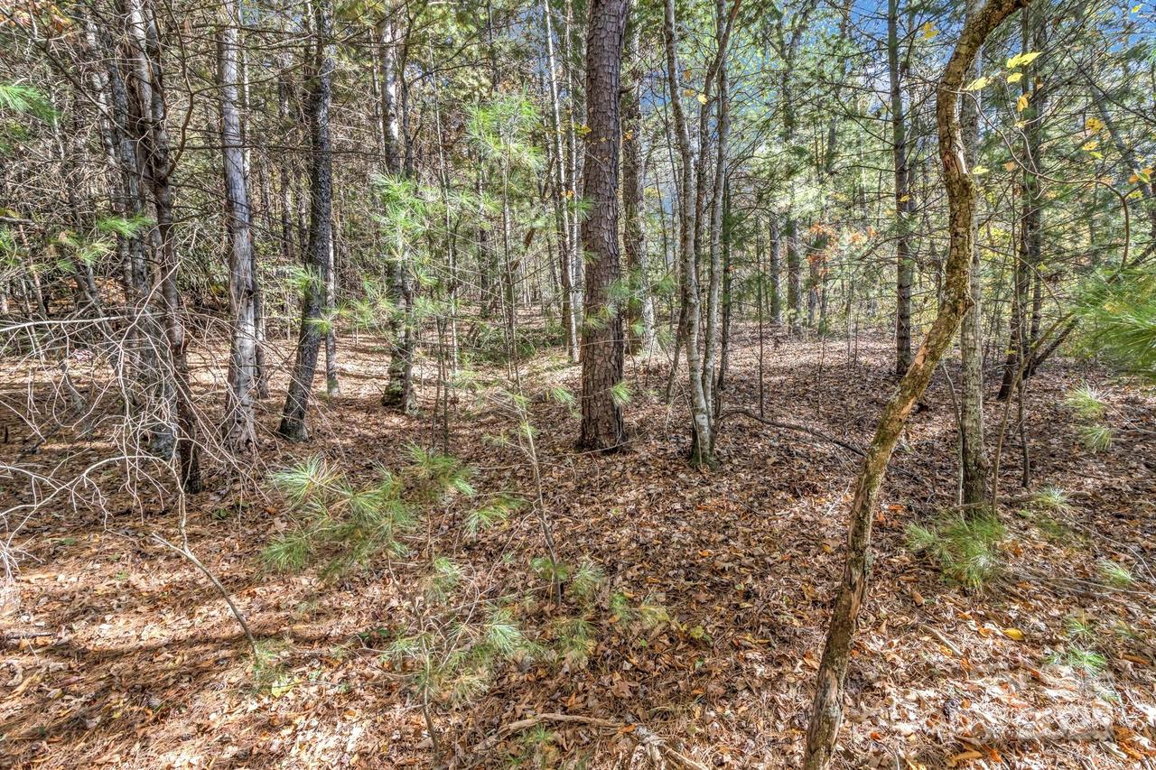 99999 Sharon Rd., Fairview, NC 28730
