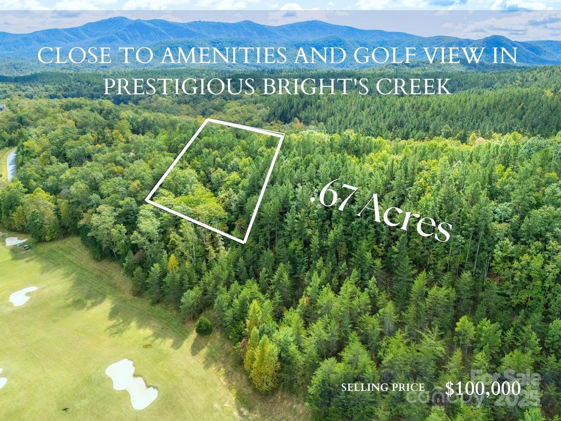 000 Deep Gap Farm Dr. #2021, Mill Spring, NC 28756