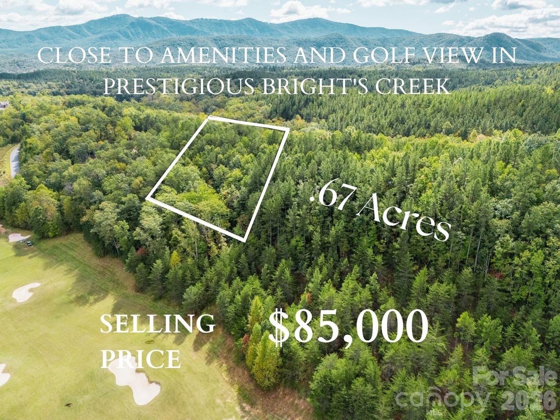 000 Deep Gap Farm Dr. #2021, Mill Spring, NC 28756