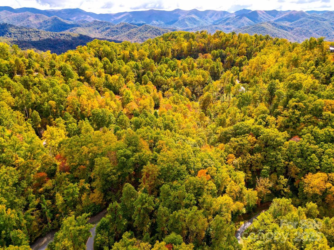 443 Glen Valley Dr., Weaverville, NC 28787