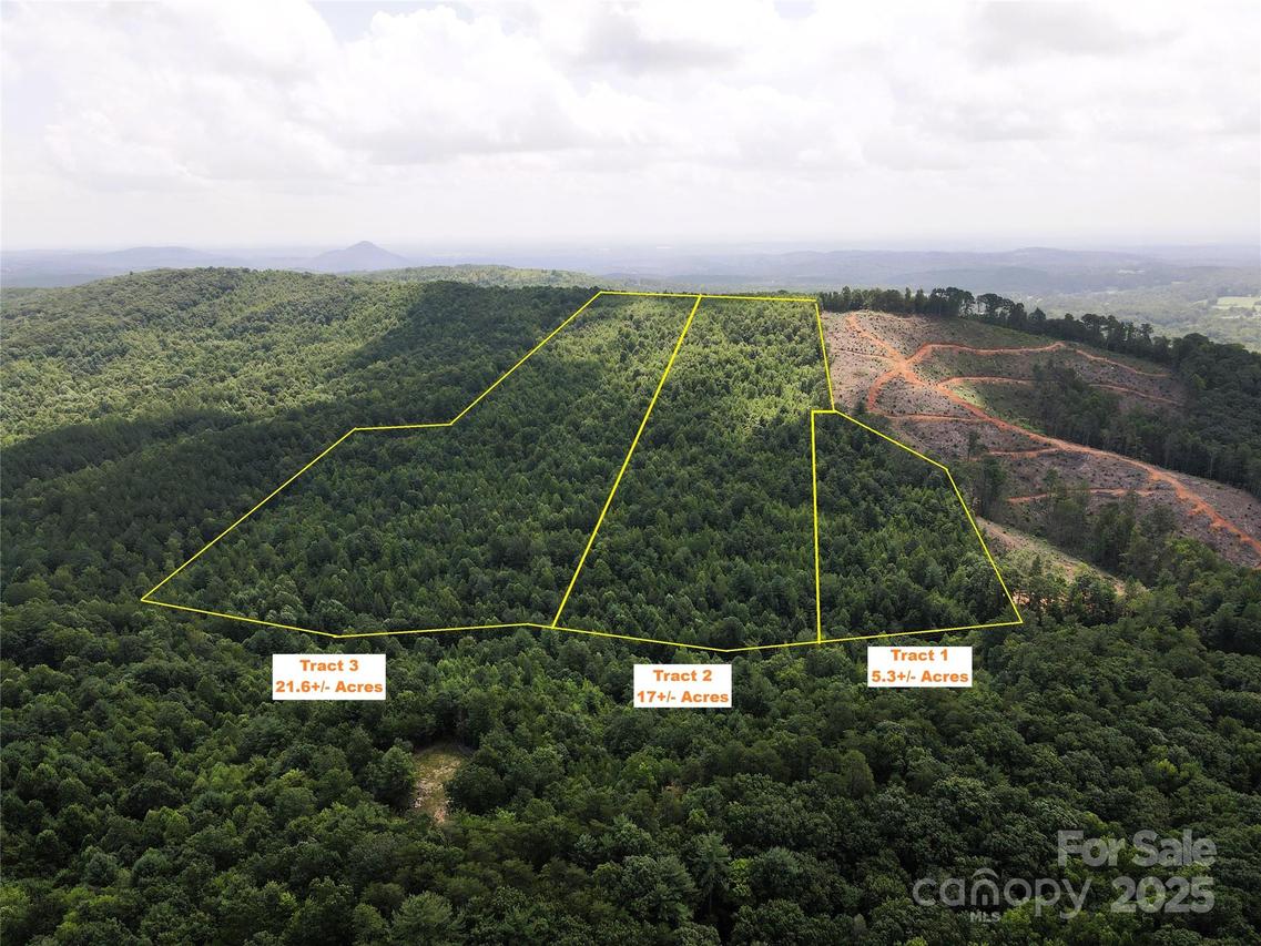 Lot 2 Mount Gilead Church Rd. #2, Connelly Springs, NC 28612