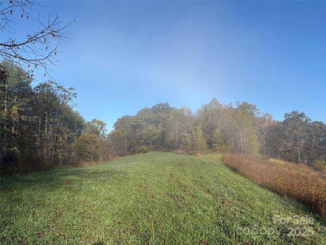 24 Bob Wright Hill Rd., Leicester, NC 28748