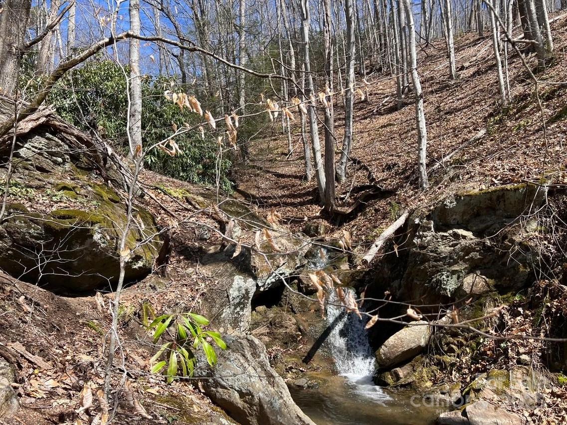 Off Sorrells Cove Rd., Clyde, NC 28721