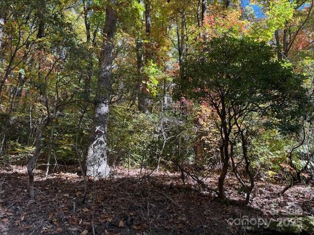 1530 Hickory Acres Rd., Hendersonville, NC 28792