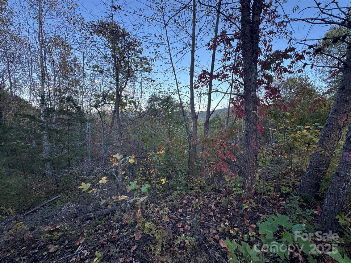 Boland Dr., Lake Lure, NC 28746