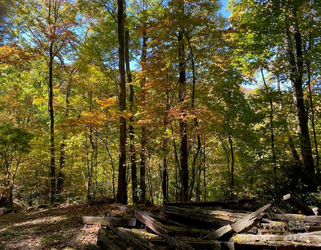 Lot A38 Tawodi Tr., Maggie Valley, NC 28751