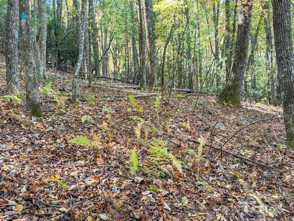 345 Christa Ln., Arden, NC 28704