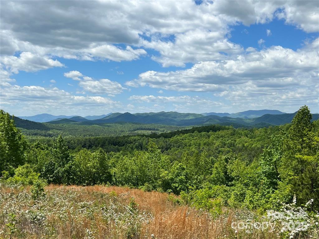 V/L Summit Tr. #82, Nebo, NC 28761