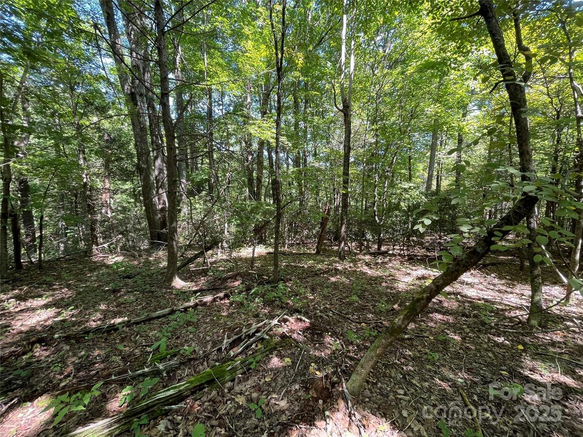 99999 Morgan Hill Rd. #4, Fairview, NC 28730
