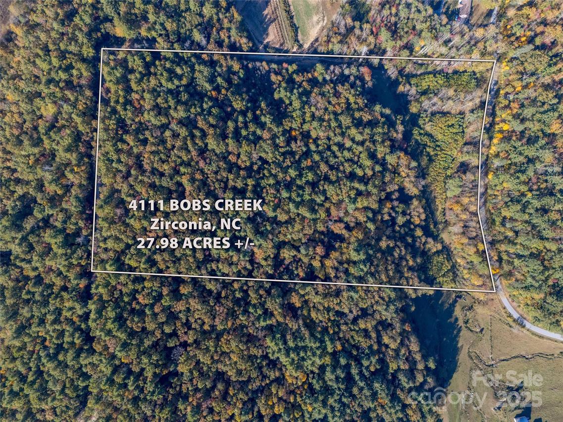 4111 Bobs Creek Rd., Zirconia, NC 28790