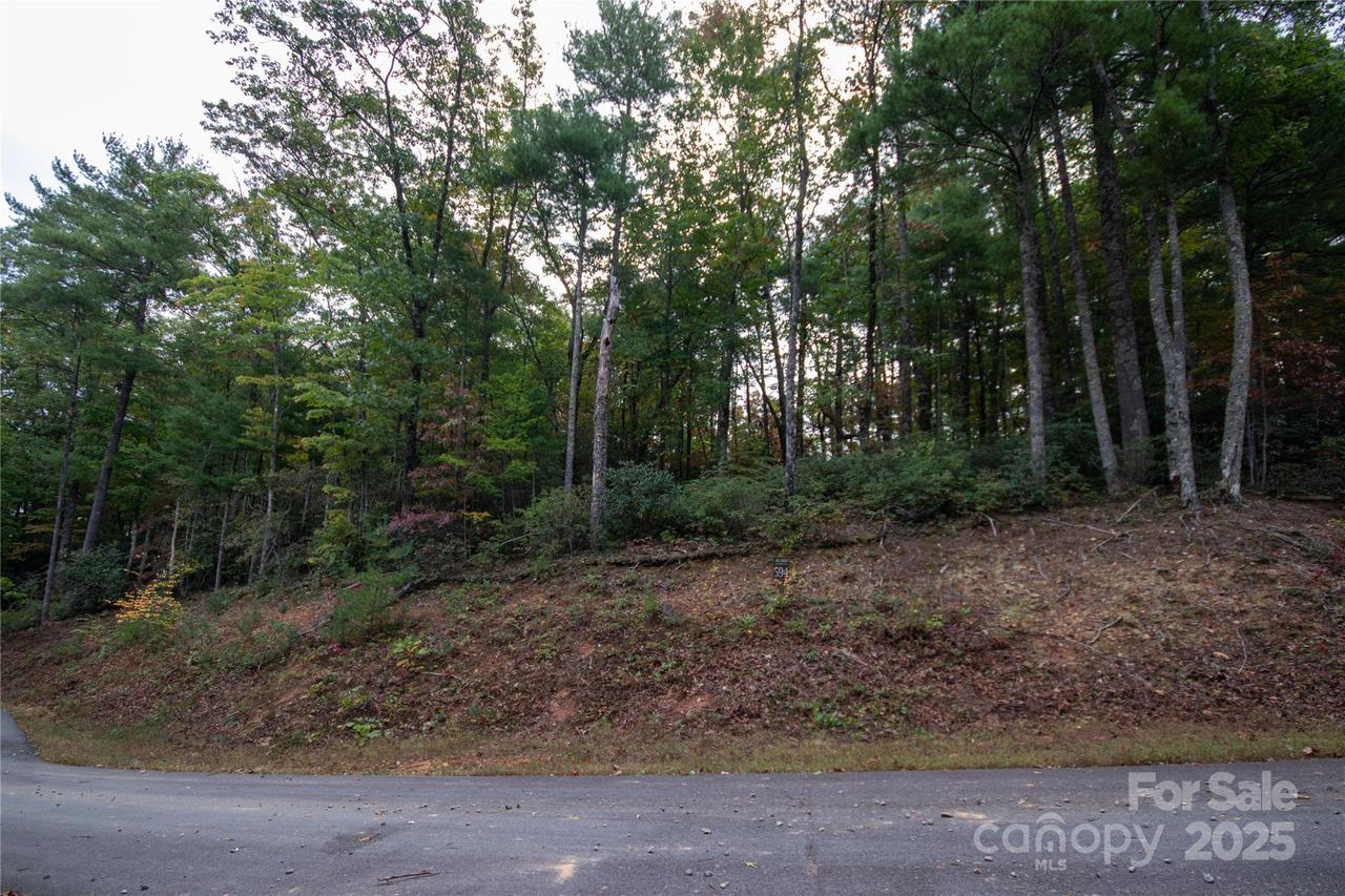 Lot# 594 Timberline Dr. #594, Lenoir, NC 28645