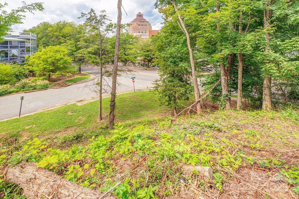 99999 Hazzard St. #1, Asheville, NC 28801