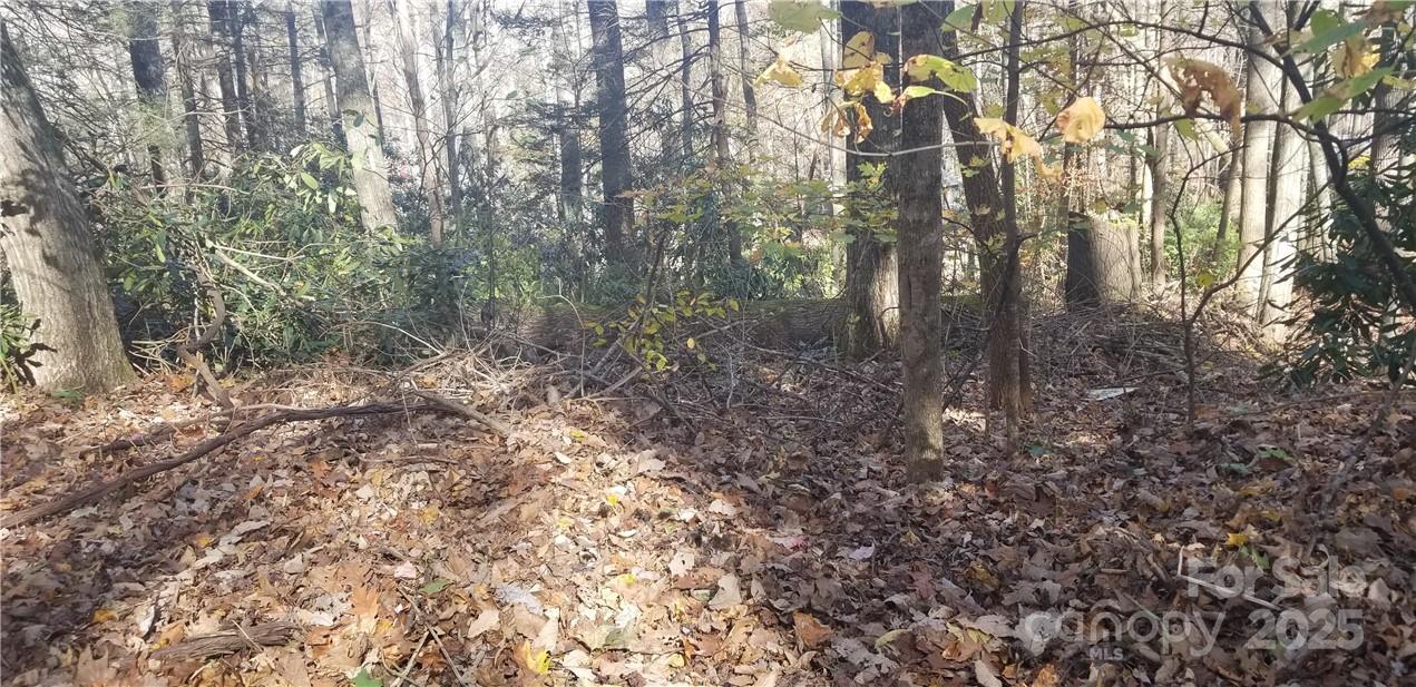 Lot C31 Shady Ln., Maggie Valley, NC 28751