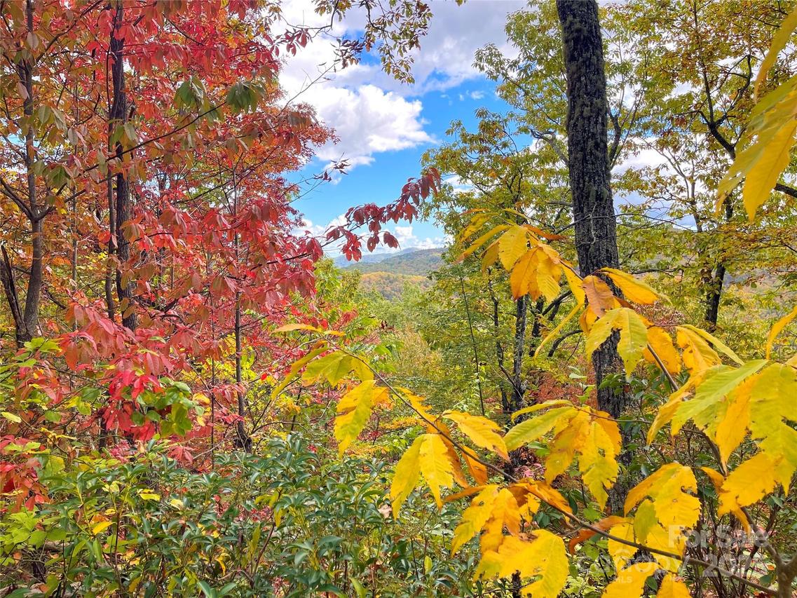 57 Grouse Ridge Dr., Black Mountain, NC 28711