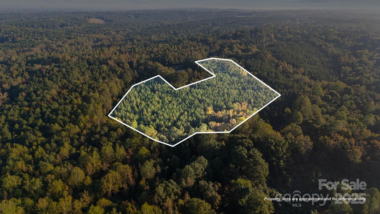 Vacant Harrington Rd., Wadesboro, NC 28170