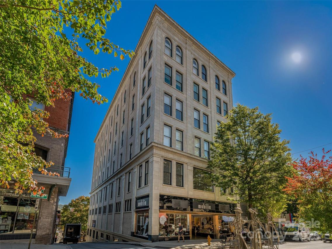 84 W Walnut St. #303, Asheville, NC 28801