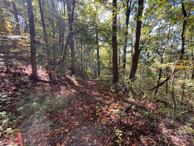 99999 Moody Cove Rd., Weaverville, NC 28787