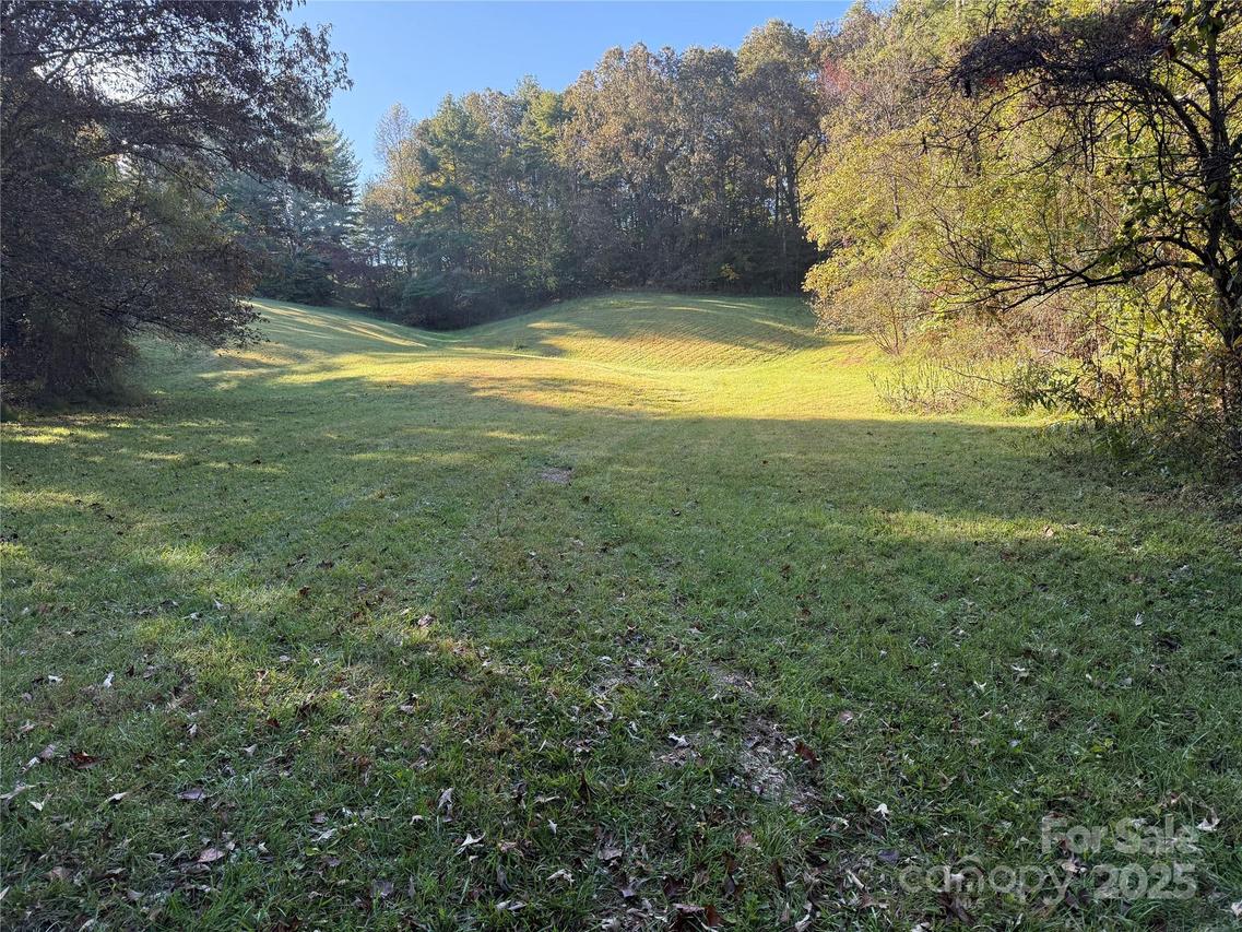 99999 Greenridge Rd. #2, Weaverville, NC 28787