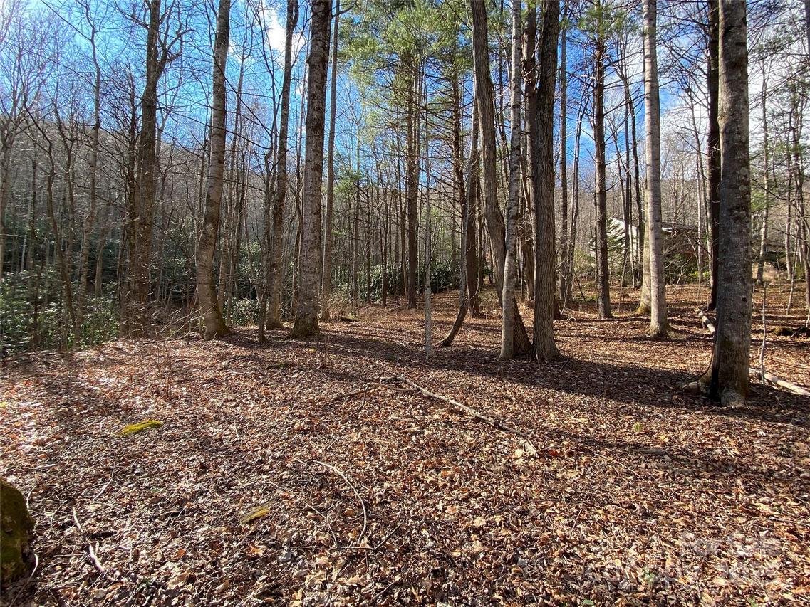 99999 Laurel Branch Dr., Black Mountain, NC 28711