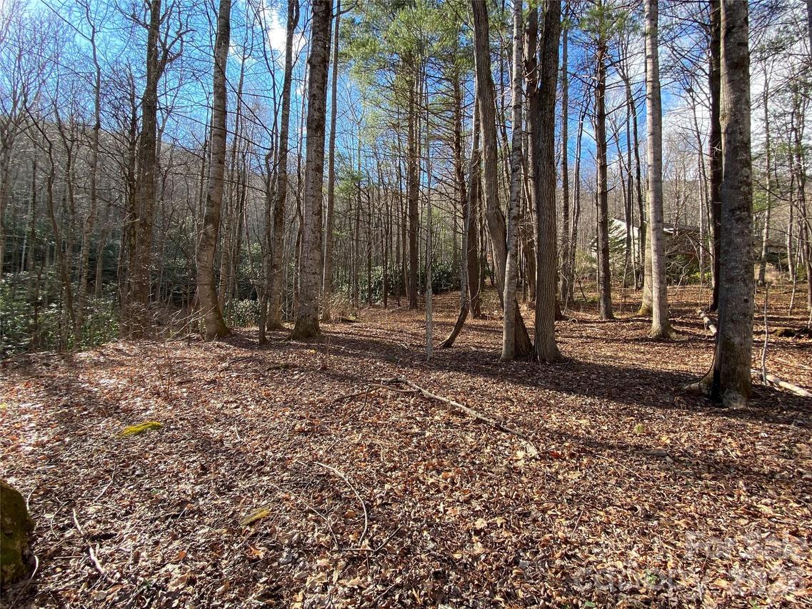 12 Laurel Branch Dr., Black Mountain, NC 28711