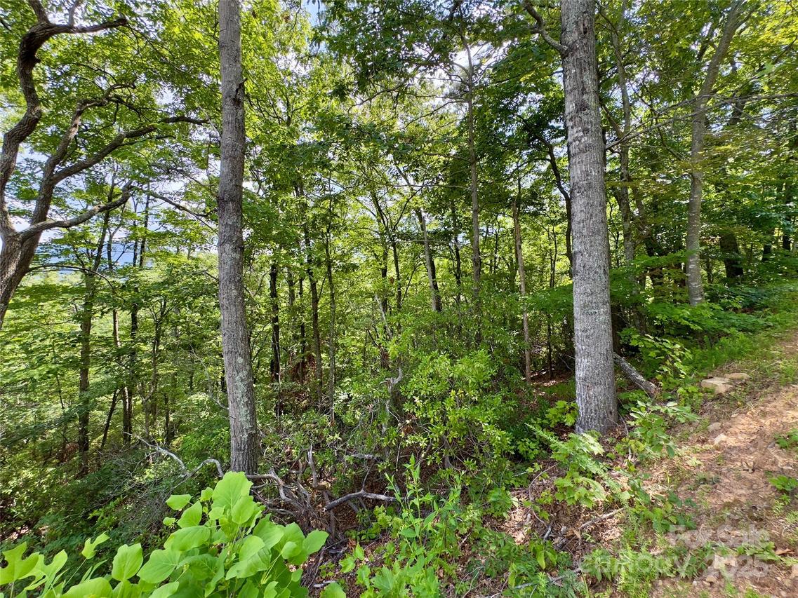 94 Galax Dr. #T-44, Black Mountain, NC 28711