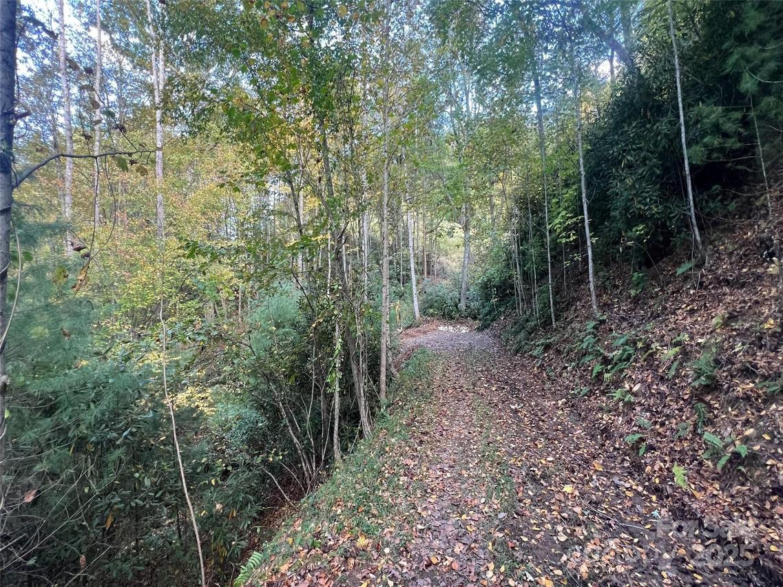 6 Dividing Ridge Tr. #01, Arden, NC 28704