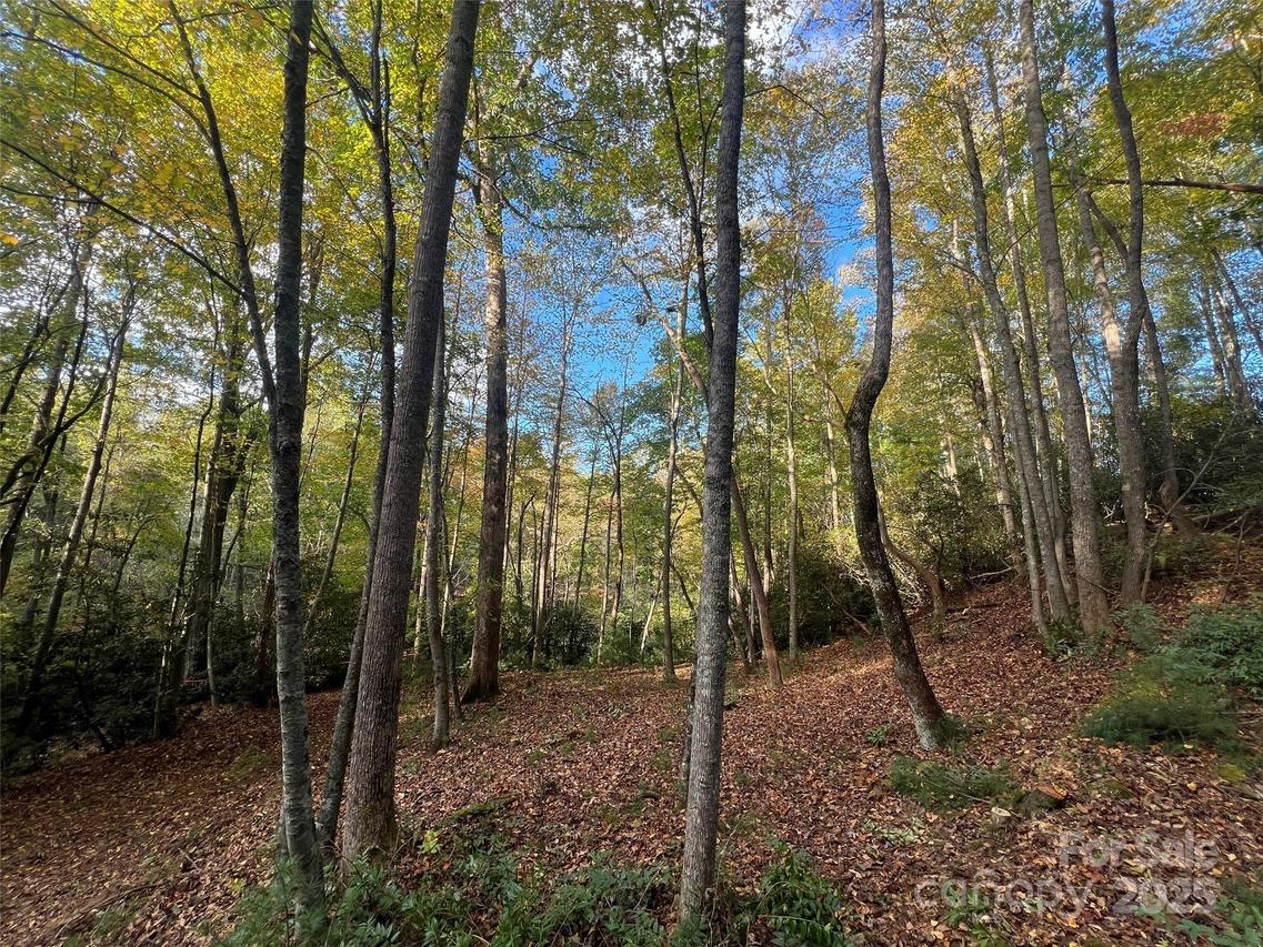 6 Dividing Ridge Tr. #01, Arden, NC 28704