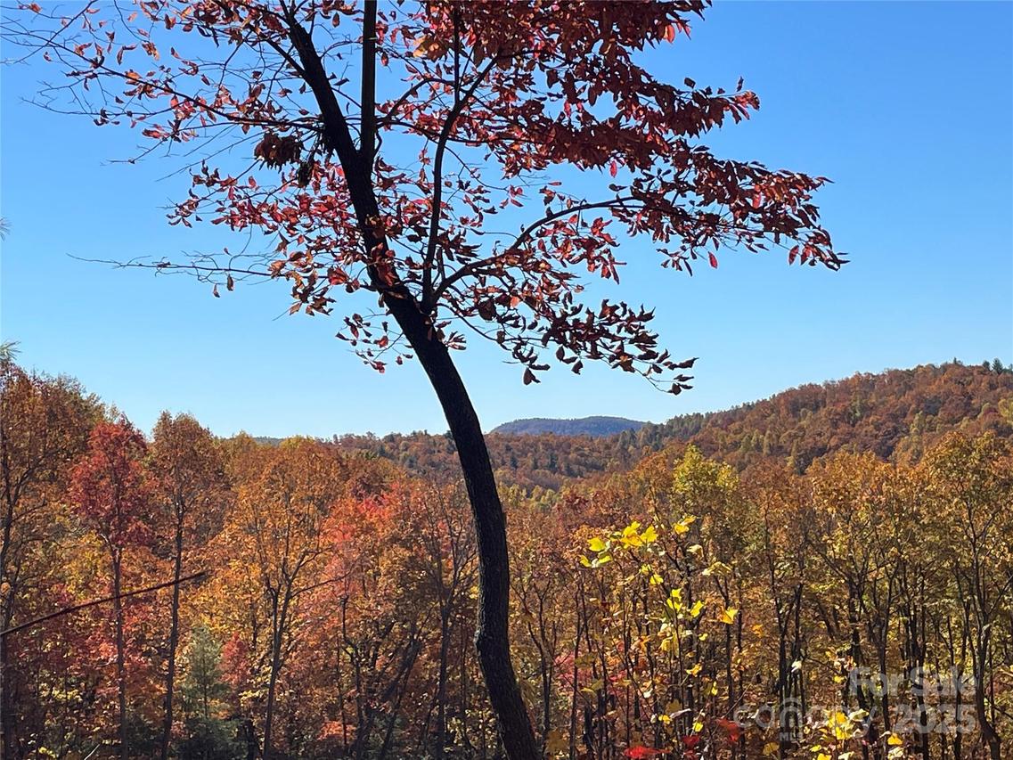 312 Hollybrook Dr. #S-1R, Flat Rock, NC 28731